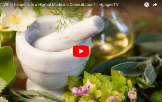 WHAT HAPPENS IN A HERBAL MEDICINE CONSULTATION